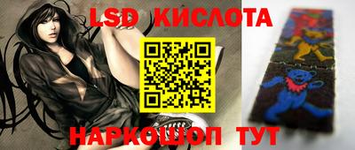 стафф Гатчина