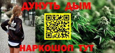 стафф Гатчина