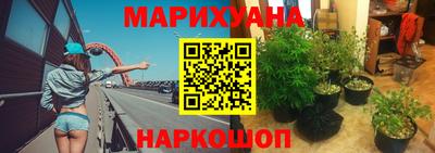 стафф Гатчина