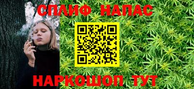 стафф Гатчина