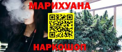 стафф Гатчина