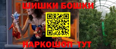 стафф Гатчина