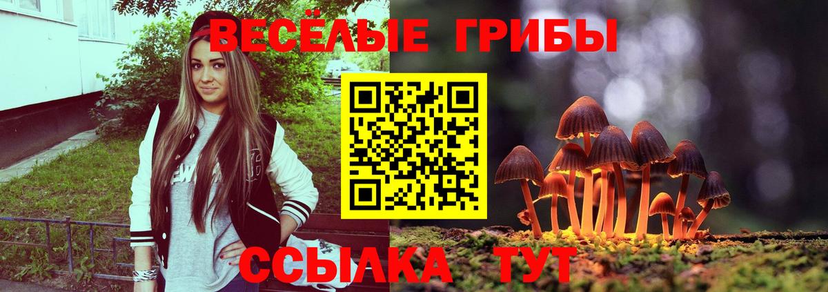 Галлюциногенные грибы ЛСД Мытищи